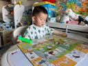 月亮故事LUNASTORY花生桌儿童积木桌宝宝学习桌可升降桌椅幼儿园游戏桌子学习桌椅 【套装画板款】积木画板桌椅【积木学习绘画磁贴多用】 实拍图