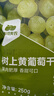 西域美农树上黄葡萄干 新疆特产大颗粒提子干蜜饯果干 250g 实拍图