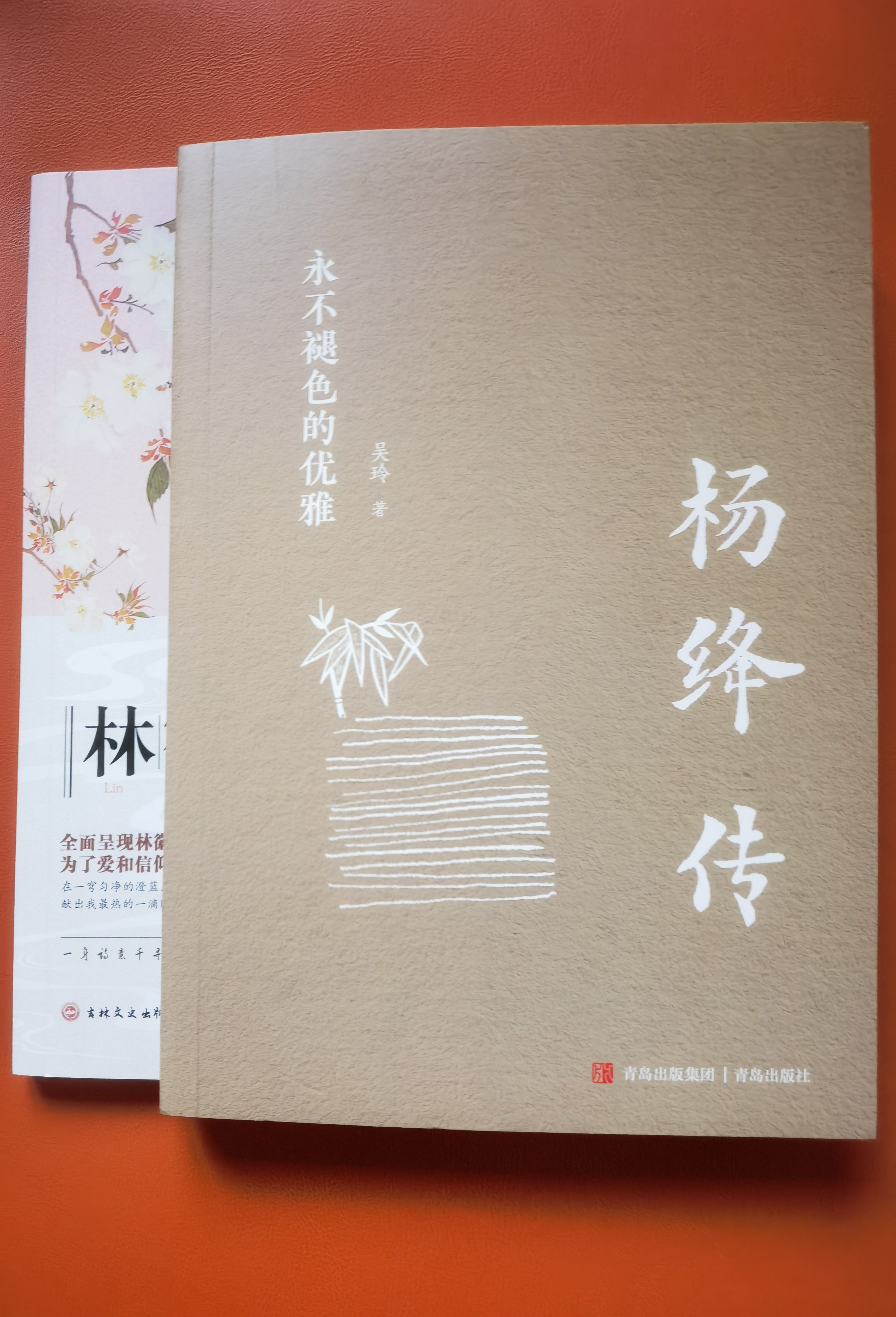 【全2册】杨绛传+一树一树的花开：林徽因传 人物传记类书籍书排行榜小说杨降先生经典语录的书民国才女经典语录作品名人传记女性畅销书籍 实拍图