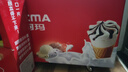 澳柯玛（AUCMA）338升雪糕柜卧式冰柜展示柜 商用冷冻柜 大容量冰箱点菜冷柜 钢化玻璃门负30度 1级能效 SD-338HA 实拍图