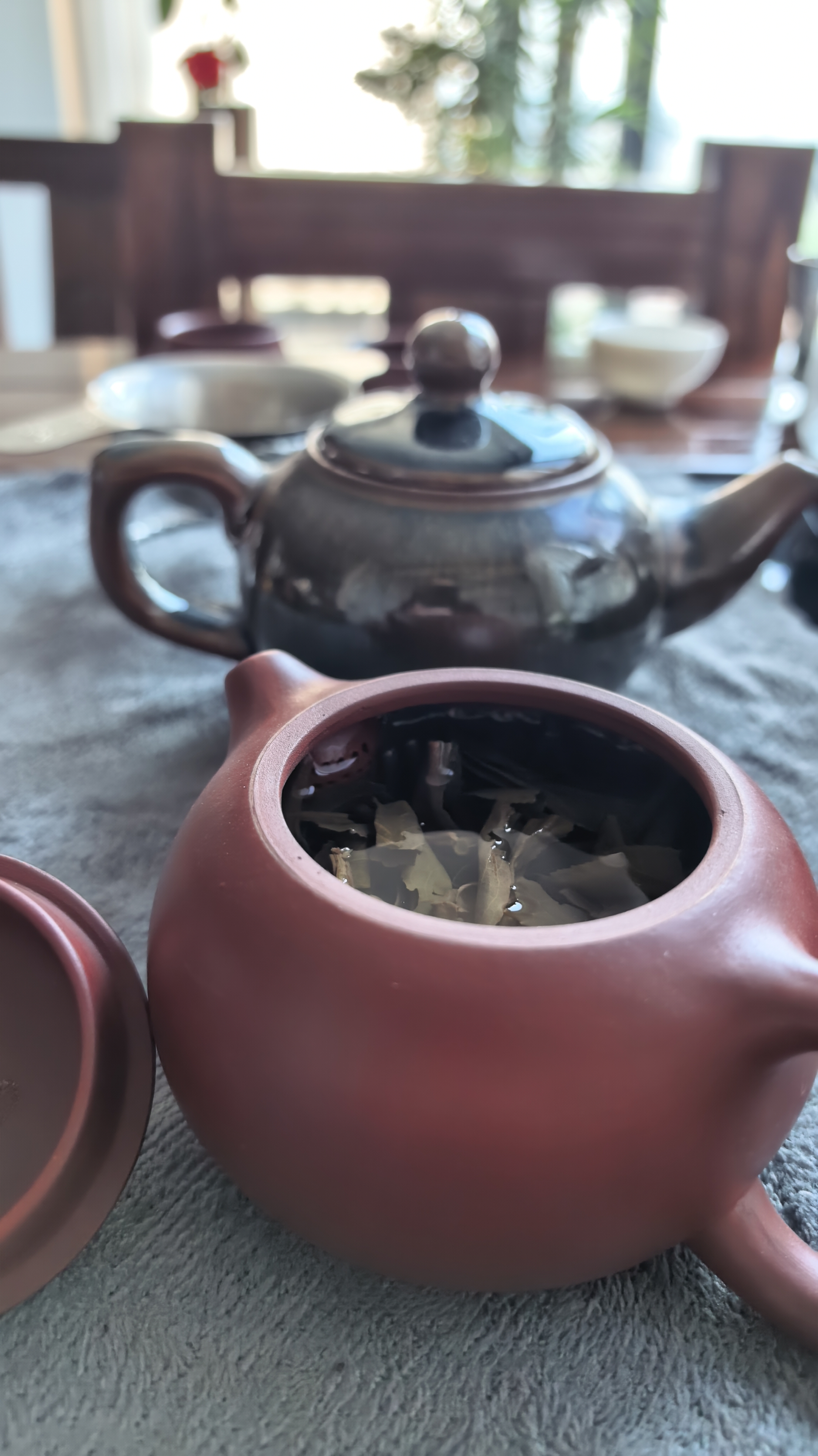 大益TAETEA茶叶普洱茶饼茶 5年陈料天地人和生茶357g/饼 中华老字号 实拍图