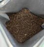 江小傲猫粮 成猫幼猫冻干粮 布偶加菲英短美短全价猫粮 全期猫粮10kg(2kg*5) 实拍图