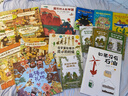 【信谊】青蛙和蟾蜍 （套装4册）（5-10岁）凯迪克银奖幼小衔接桥梁童书绘本 一升二衔接 小升初衔接 实拍图