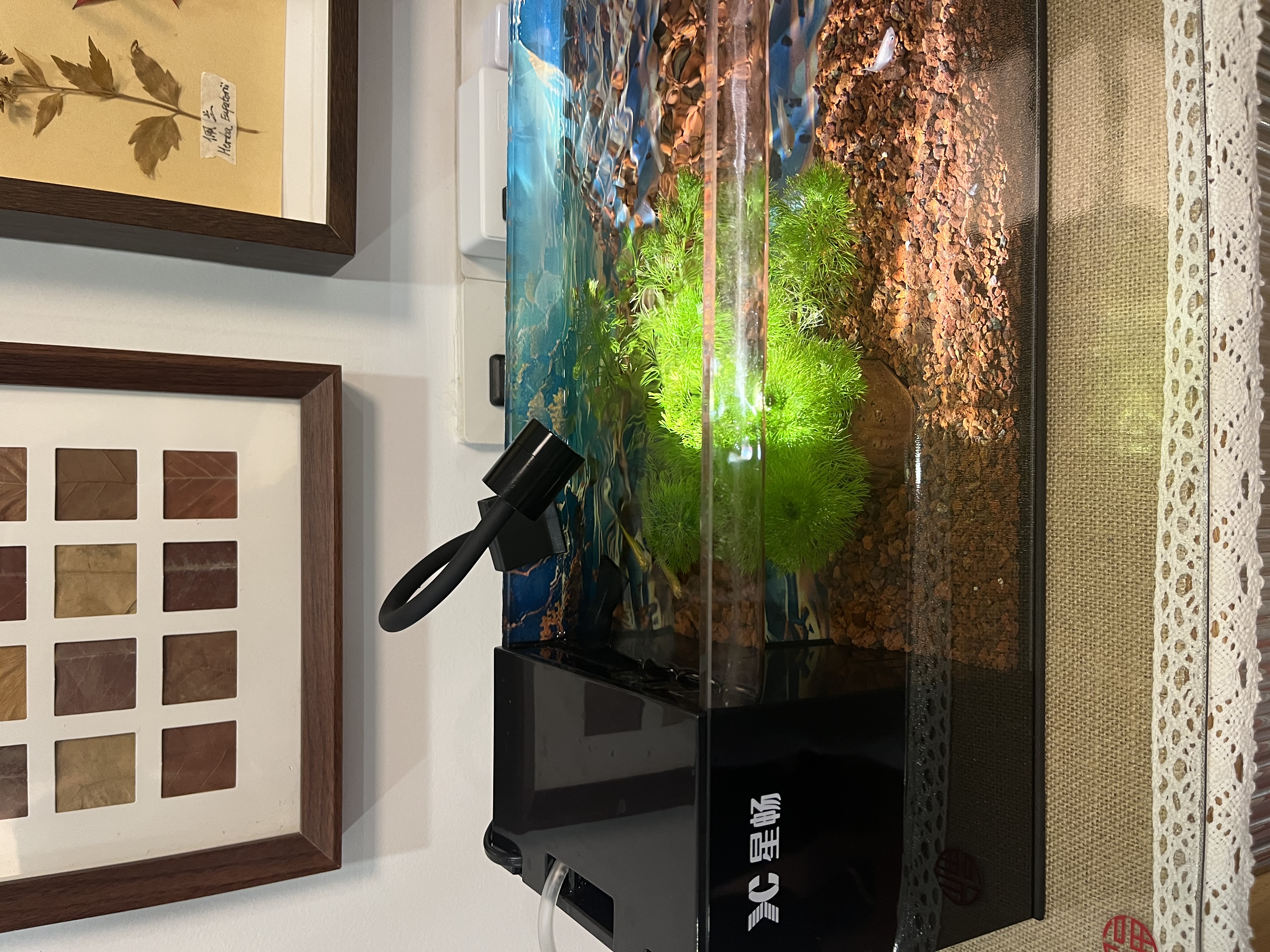 YEE鱼缸迷你射灯南美缸造景小型缸夹灯溪流缸鱼缸灯led灯防水3w三色 实拍图
