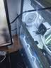 技嘉（GIGABYTE）5080 超级雕ICE GeForce RTX 5080 AORUS MASTER ICE 16G DLSS4游戏设计OpenClaw龙虾本地部署显卡 实拍图