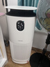 东芝（TOSHIBA）空气净化器宠物净化器大白梨PET去毛除毛大风量除花粉过敏源除尘净化除螨消毒杀菌除味【价保618】 实拍图