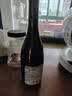 Burge Family Winemakers 堡歌家族酒庄 幸存者系列 澳大利亚巴罗萨产区干红葡萄酒 2015 西拉赤霞珠 实拍图