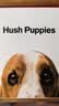 暇步士（Hush Puppies）女士皮带牛皮带时尚镂空针扣腰带生日礼物送女朋友 实拍图