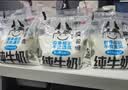 科迪纯牛奶鲜奶小白奶遇见科迪系列透明枕袋装150ml*16袋早餐奶 实拍图