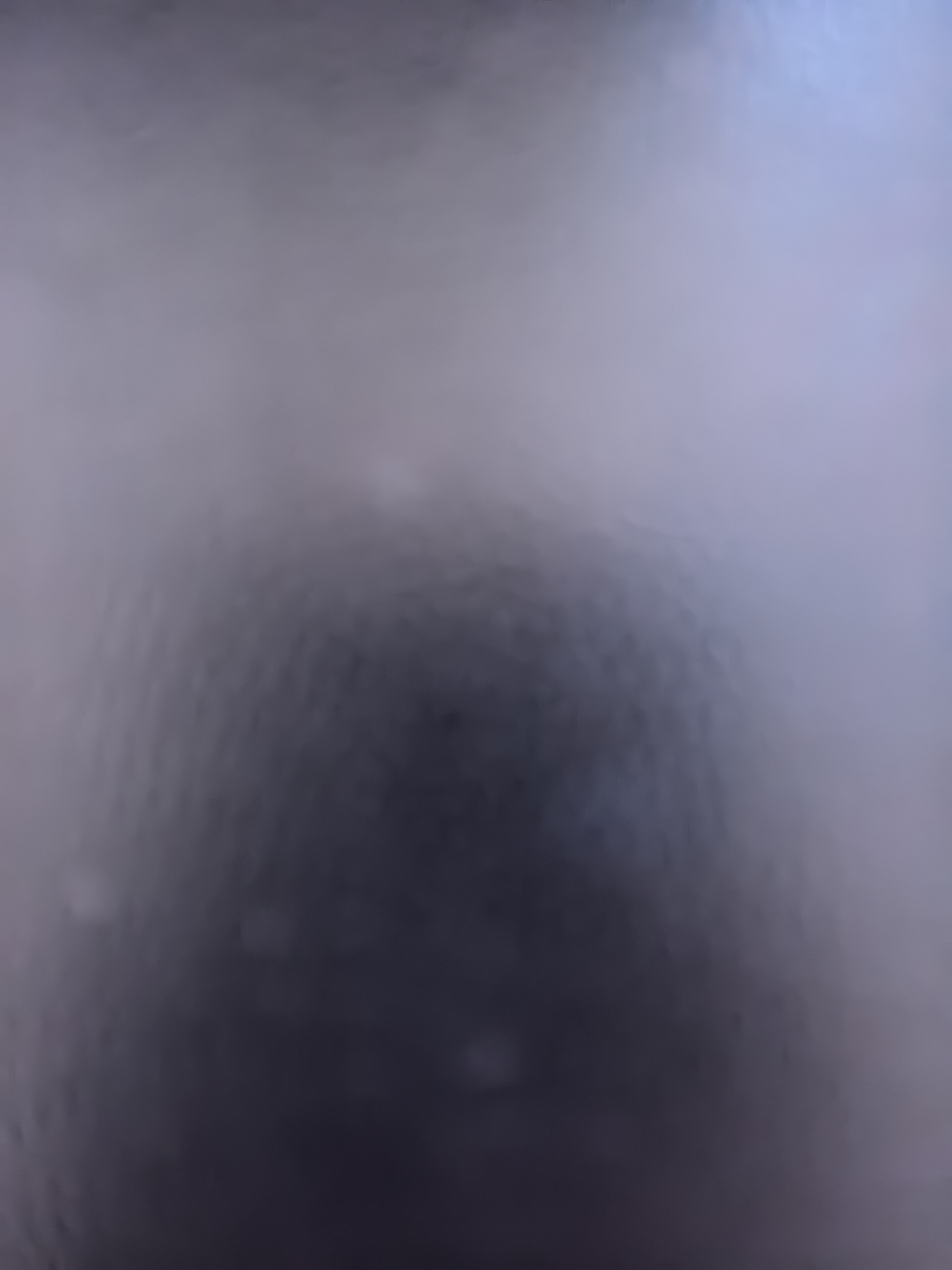 洁丽雅（Grace）加厚马桶垫秋冬季坐便垫套卫生间家用可水洗拉链马桶圈坐垫 实拍图