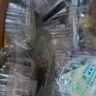 壹得利蜂巢蛋糕面包点心夹心代早餐营养休闲零食品办公充饥蜂蜜小吃560g 实拍图