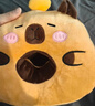 熊猫熊卡皮巴拉午睡枕办公室午休枕小学生儿童趴桌睡觉玩偶抱枕生日礼物 实拍图