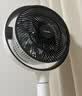 东芝（TOSHIBA）【价保618】【花信风】电风扇空气循环扇家用落地扇电风扇卧室轻音客厅风扇F-DSC800XCN(W) 实拍图