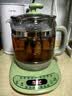 小熊（Bear）养生壶烧水壶恒温煮茶壶多档保温烧水炖煮壶一体多功能电热水壶花茶壶办公室玻璃烧水养生壶0胶水 YSH-B18T1【配实用滤网+蛋架】 1.5L 绿色 实拍图