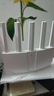 普联（TP-LINK）BE3600 WiFi7路由器 千兆无线家用 普联路由3600 双频聚合 智能游戏加速 易展 上网管理 适配星闪 实拍图