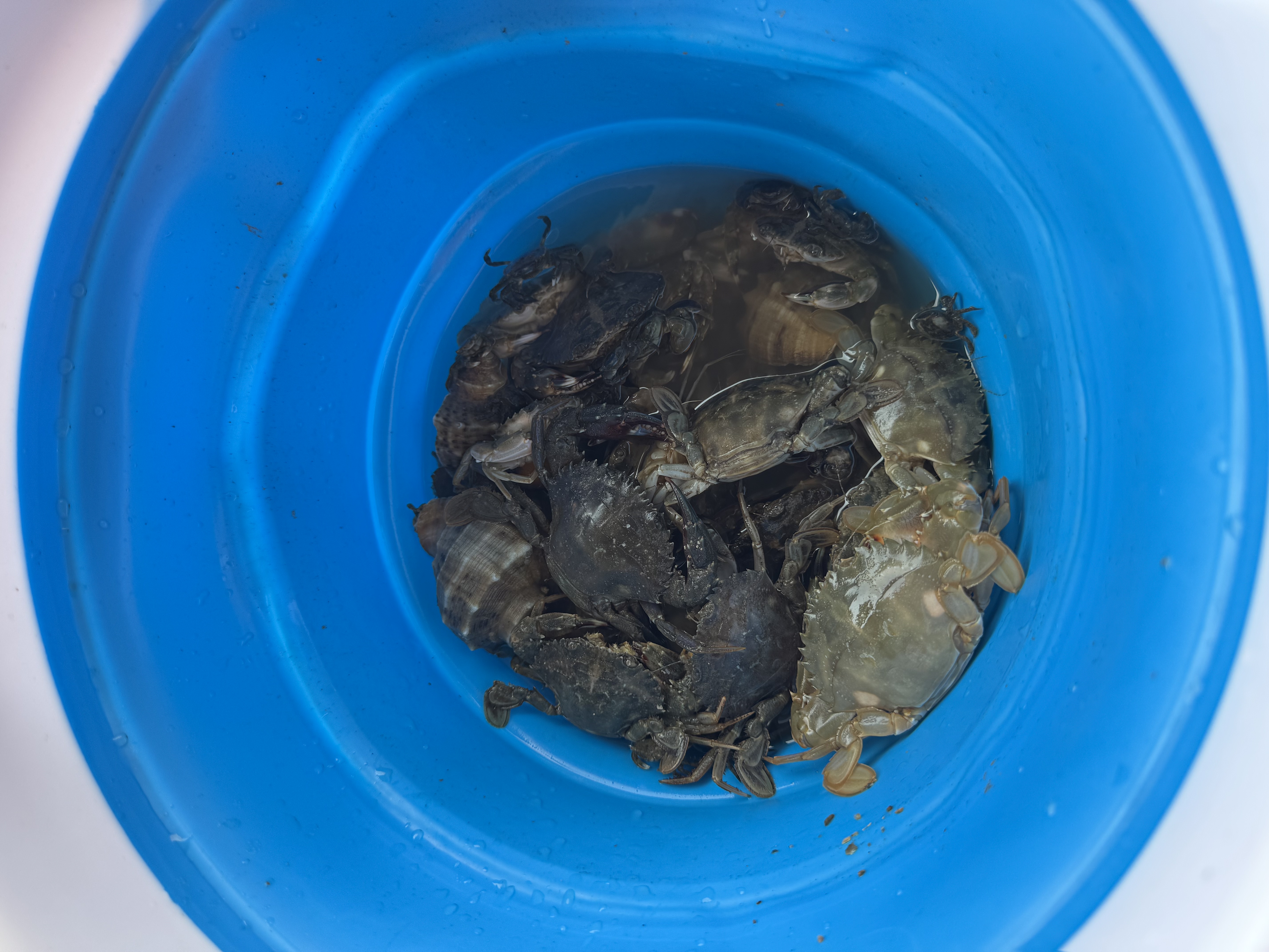 FOOTOPPO成人雨鞋赶海服涉水连体裤玩水叉裤水裤赶水装备防水雨裤 实拍图