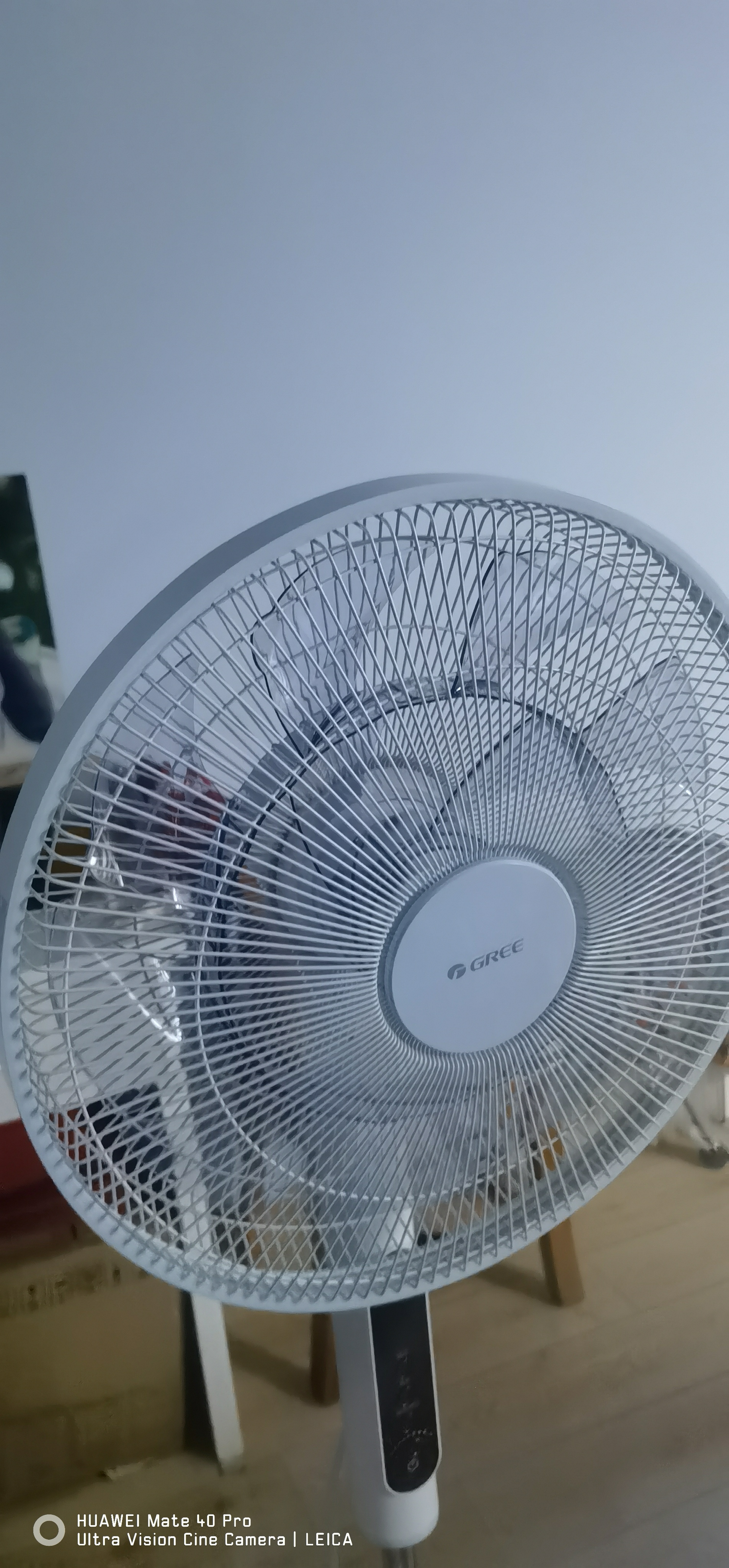 格力落地扇电风扇一级能效直流变频节能智能遥控双层仿生蝴蝶扇14扇叶家用卧室风扇轻音不扰眠22档调节 【门店热销款】16寸仿生扇叶22档调节 实拍图