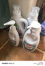 威露士la自然清新洗衣液西柚10.86斤（2.25L瓶+1L*3瓶+la内衣净90ml*2  实拍图