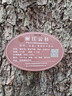 佛山照明佛山照明T8led灯管空支架单双管双端带罩串联长条日光灯 T8空支架-单管0.6米 实拍图