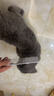 HELLOJOY宠物猫咪狗狗排梳猫梳子宠物去浮毛开结钢梳布偶长毛猫专用猫毛梳 实拍图