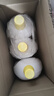 滴露（Dettol）衣物消毒液除菌柠檬3L 99.9%杀菌除螨内衣儿童衣服消毒水配洗衣液 实拍图