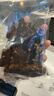 蜀料家 风干牛肉干西藏特产内蒙古超干手撕藏家牛肉干 五香+麻辣 合500g 实拍图