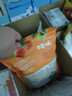 百草味红杏干300g 果脯果干无核杏脯肉网红休闲零食小吃独立小包装 实拍图