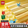 天章 （TANGO）彩色卡纸全开220g浅粉红色加厚大尺寸海报纸787*1092儿童绘画手工硬卡纸10张新绿天章P90068 实拍图