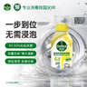 滴露洗衣机清洗剂强力除垢杀菌消毒液滚筒波轮机槽深度清洁剂非爆氧粉 【超值囤货】柠檬250ml*6瓶 实拍图