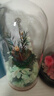RoseBox蒲公英永生花摆件生日礼物高级送女生朋友毕业礼品老师同学实用 实拍图