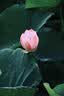 佳能（Canon）EOS 750D 760D 800D 850D 77D 二手单反相机高清数码照相机 99新 750D EF 18-135mm STM 套餐二【75%用户的选择 免费升级套餐三】 99 实拍图