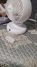 爱丽思（IRIS） 爱丽思空气循环扇风扇遥控电风扇落地扇家用小熊猫电扇自动摇头冷风扇空调扇 BD15TEC(5档 DC直流电机 荐 ） 实拍图