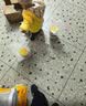 君乐宝（JUNLEBAO）奶粉恬适 3段幼儿配方800克*6罐 实拍图