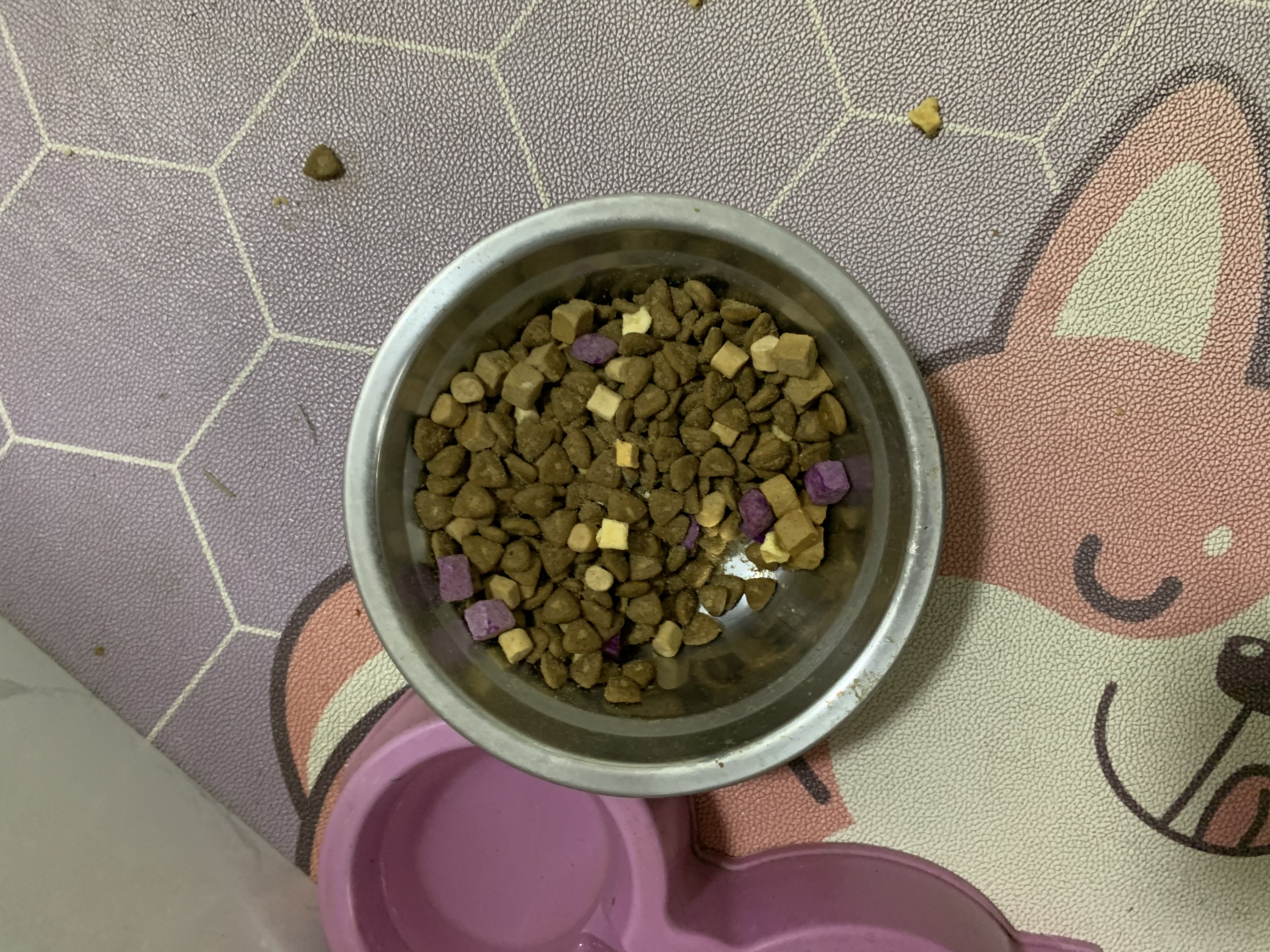 疯狂小狗冻干夹心狗粮中大小型成犬幼犬通用10kg兔肉鱼油20斤 实拍图