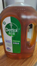 滴露（Dettol）消毒液衣物除菌液洗衣消毒水1.8L*1 衣物混洗杀菌除螨 非84酒精 晒单实拍图