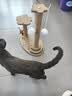 HELLOJOY猫抓板猫爬架一体耐磨不掉屑剑麻抓柱耐抓逗猫棒猫咪玩具自嗨解闷 实拍图