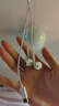 Apple/苹果 EarPods USB-C有线耳机 type-c有线耳机  iPhone 17有线耳机笔记本耳机游戏音乐 实拍图