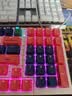 双飞燕（A4TECH）AT98 99键 机械键盘 有线键盘游戏电竞机械键盘电竞游戏专用光轴键盘 野蛮部落 光轴 机械狗 有线 实拍图