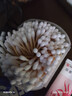 名创优品（MINISO）棉签便携装棉棒化妆掏耳棉花棒棉花签圆头+尖头双头设计200支*8袋 实拍图