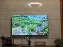 东芝电视小芝士65Z600NF PRO 65英寸 音画双芯Mini LED 火箭炮音响 144Hz高清护眼 国家补贴 实拍图