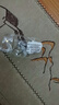 实时金【AU9999】水贝黄金珠宝金豆豆锭新年送人节日礼物理财投资金收藏 金豆豆0.5g【带证书】 实拍图