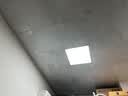 雷士（NVC）厨房灯led集成吊顶吸顶灯扣板灯卫生间平板灯面板灯20w 实拍图
