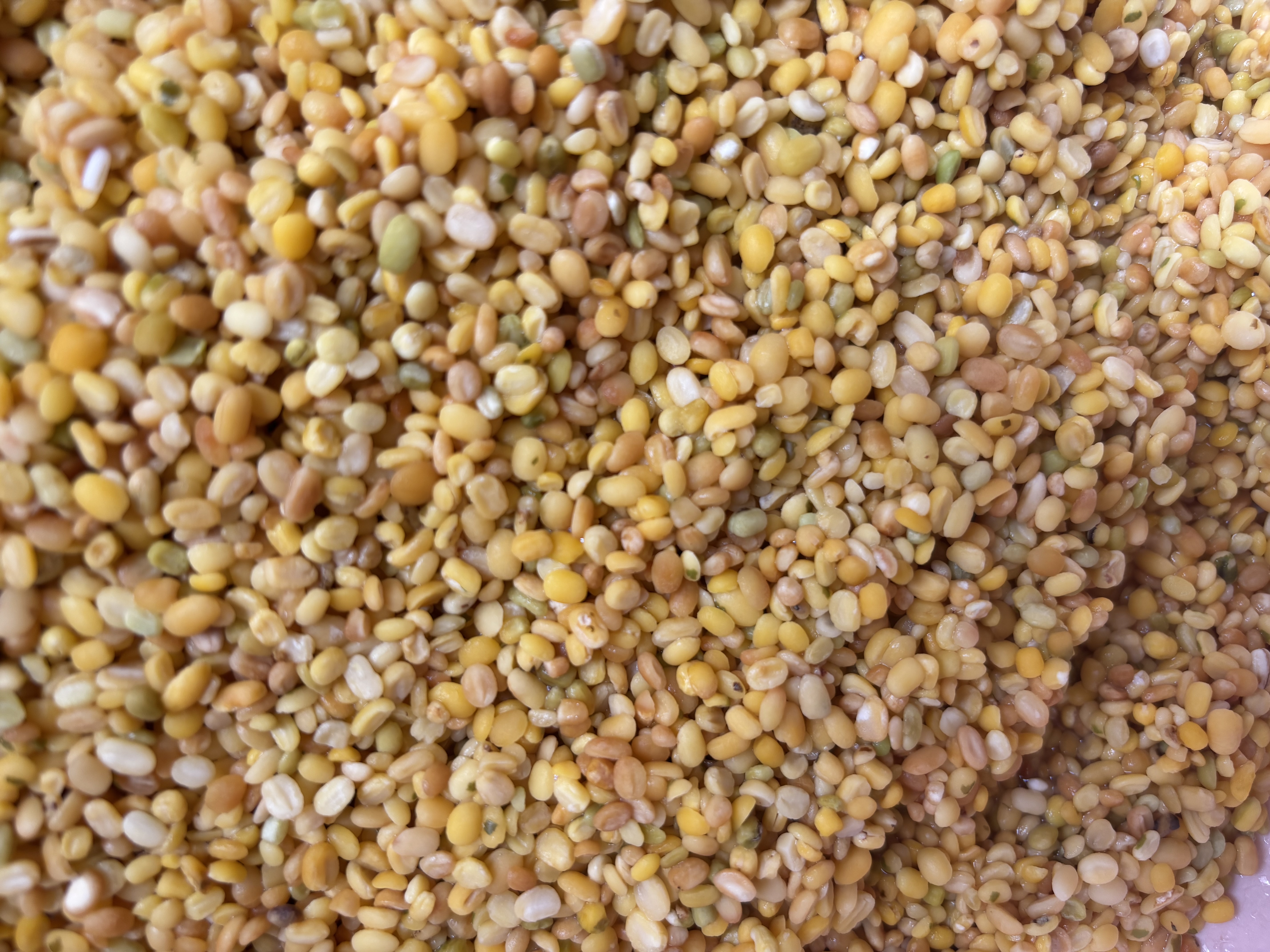 绿豆绿豆瓣 新货云南新小绿豆农家自种绿豆汤绿豆沙发豆芽绿豆汤 去皮绿豆瓣1000克 实拍图