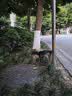 达尔优（dareu）EK810双模无线键盘 机械键盘 笔记本电脑游戏键盘 2.4G办公键盘长续航 104键 白色青轴   实拍图