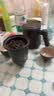 几物森林茶具套装旅行茶具快客杯户外单人便携式功夫茶具陶瓷茶杯送礼6件 实拍图
