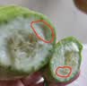 京鲜生 山东羊角蜜甜瓜 净重4.5斤起 单果300g+ 生鲜水果源头直发 实拍图