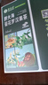 草木方胖大海金银花罗汉果甘草菊花茶教师吸烟者清润凉喉茶养生茶 实拍图