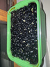仓天然东北有机黑豆绿芯5斤新货高蛋白打豆浆发豆芽专用农家五谷杂粮 实拍图
