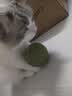HELLOJOY猫咪10CM超大猫薄荷球玩具猫草自嗨解闷神器磨牙棒洁齿逗猫木天蓼 实拍图