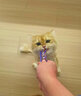 萌宠兄弟宠物次氯酸消毒液猫咪狗狗除臭剂家用室内杀菌水猫藓环境除菌喷雾 实拍图